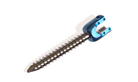 Pedicle Screw Assembly 8773